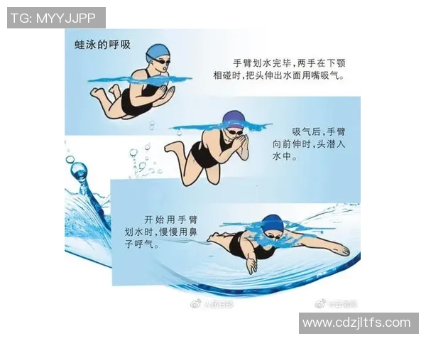 蛙泳呼吸技巧全面解析提升游泳效率与技巧的关键步骤