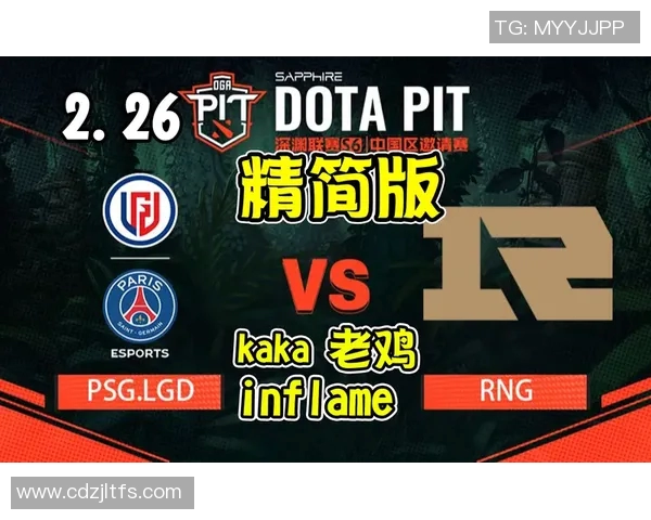 RNG在DOTA2比赛中的区域防守策略分析与成效评估